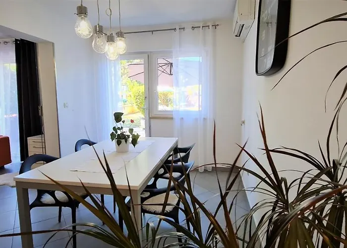 Cvek 2 * Ρόβινι