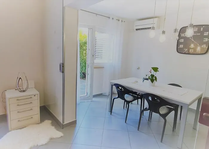 Cvek 2 * Ρόβινι